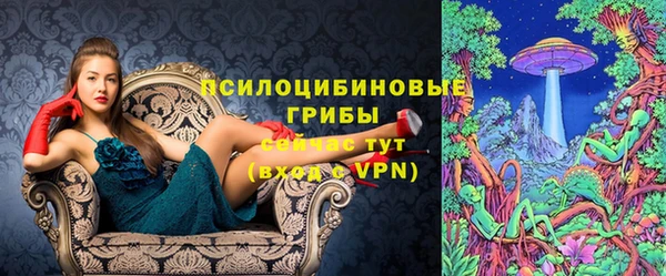 сатива Богданович