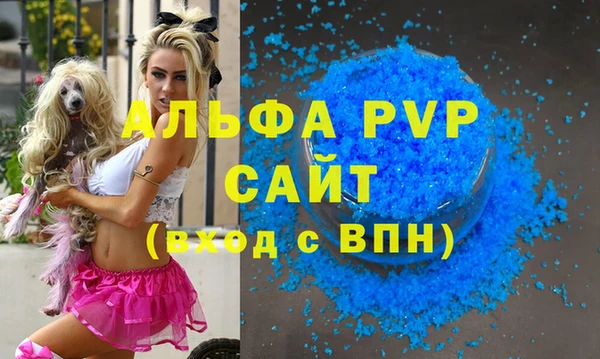 сатива Богданович