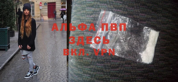сатива Богданович