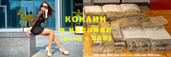 сатива Богданович
