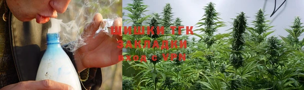 сатива Богданович