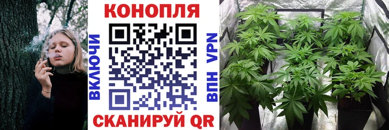 МАРИХУАНА OG Kush Щучье